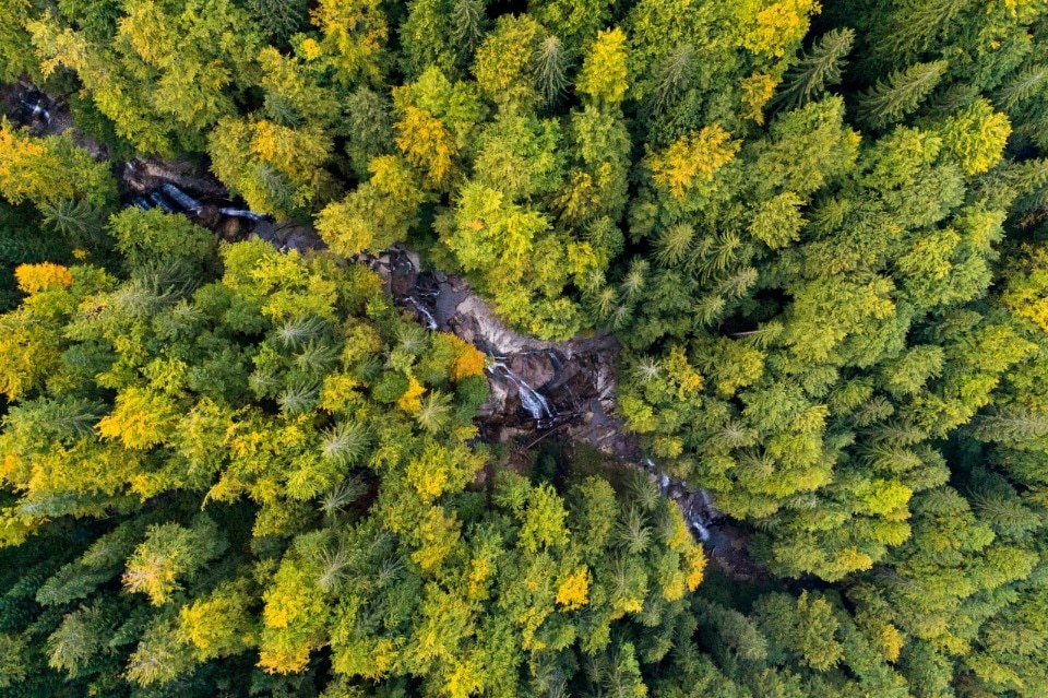Save the Blue Heart of Europe, photo: Andrew Burr